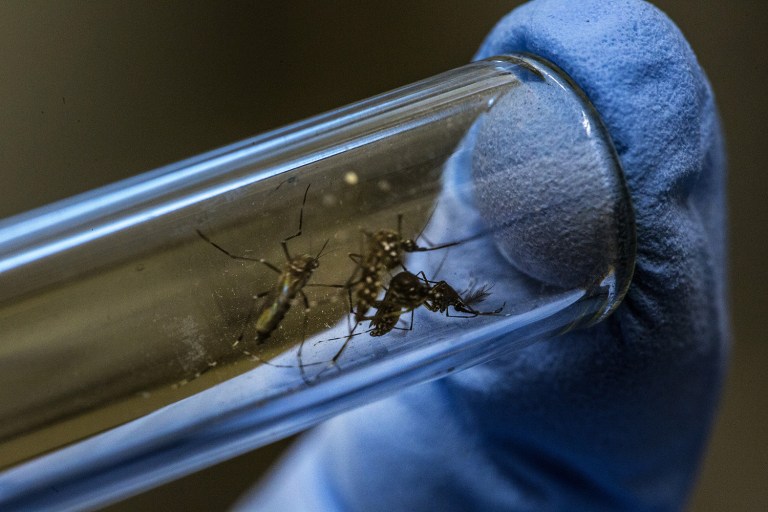 The exact incubation time for the Zika virus, spread primarily by mosquito bites, is still unknown. (Dado Galdieri/Bloomberg, File)