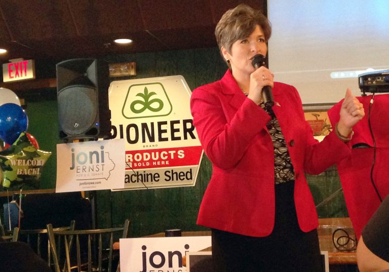 Republican Iowa State Sen. Joni Ernst speaks to veterans at a restaurant July 28 in Urbandale, Iowa. (AP/Catherine Lucey)