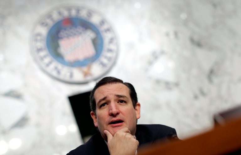 Sen. Ted Cruz, R-Texas, speaks during a Senate Judiciary Committee hearing Oct. 29, 2013 in Washington. (Win McNamee/Getty Images)