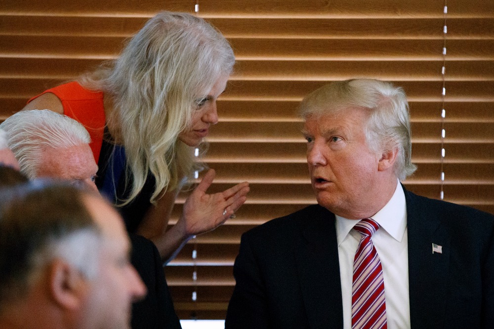 Kellyanne Conway proposes a person of color as Trump’s running mate to help ‘lead an America First movement’