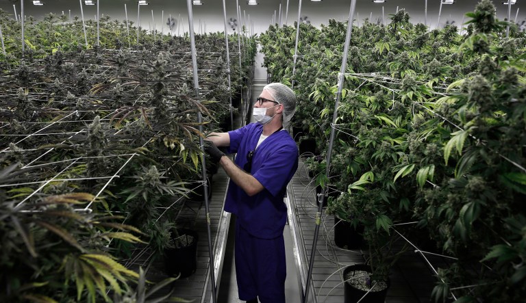 Sessions has multiple times criticized marijuana, once calling it 