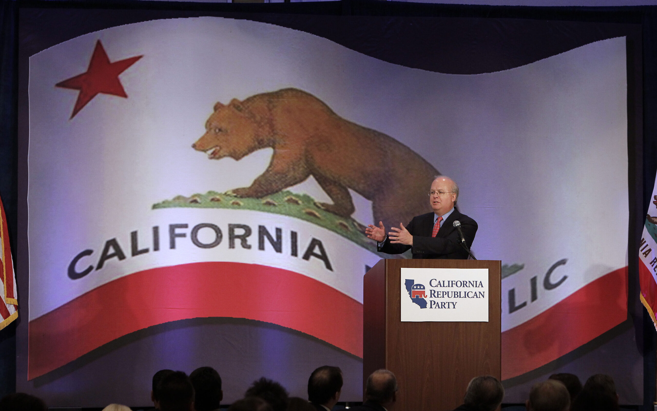 Rove: GOP needs candidates that reflect diversity