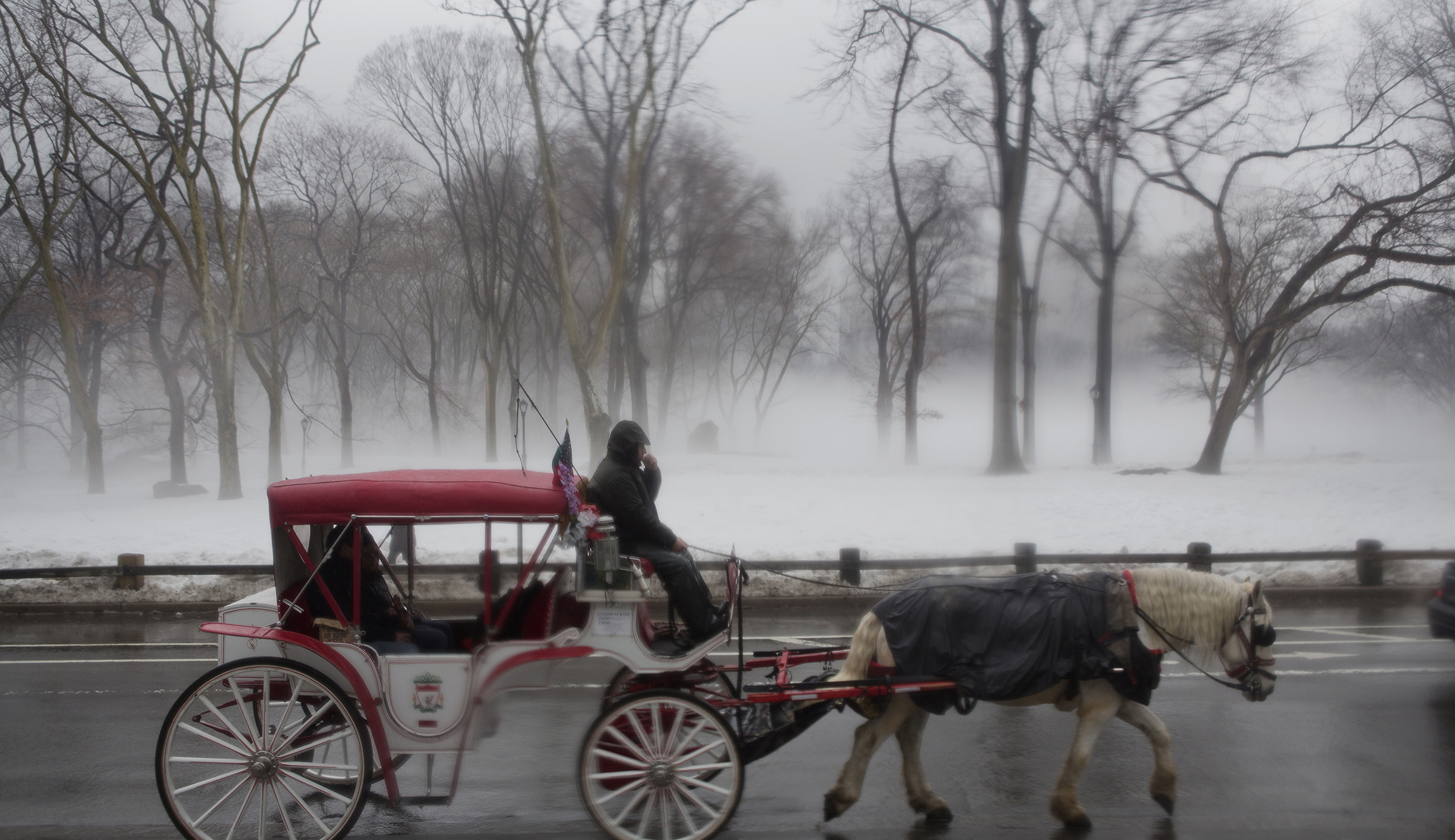 Sex in New York parks droops as amorous incidents decline by 98 percent