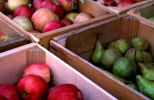 The Merchants Co. of Hattiesburg has been awarded a $12.3 million contract to provide food and beverage services to the U.S. military.