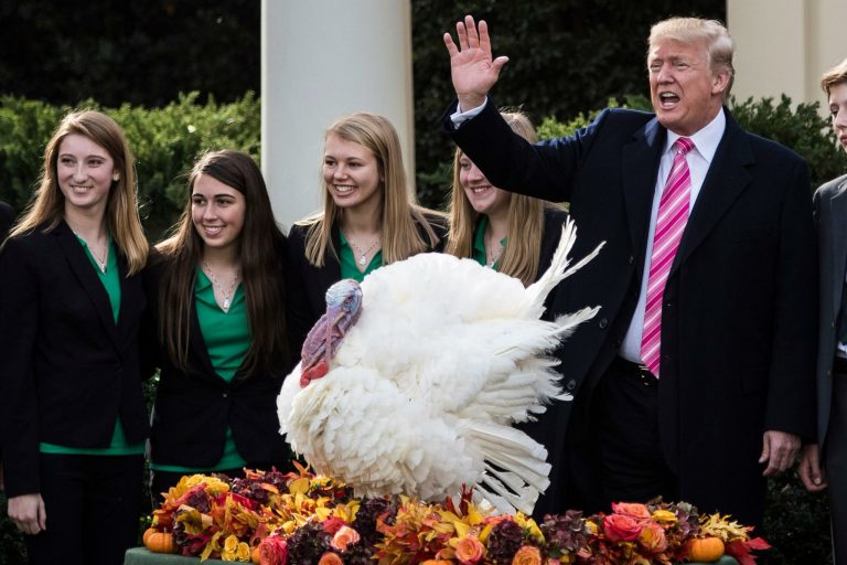 It’s a Turkey: Trump’s Tax Reform Is Good for Corporations, Bad for Federal Debt