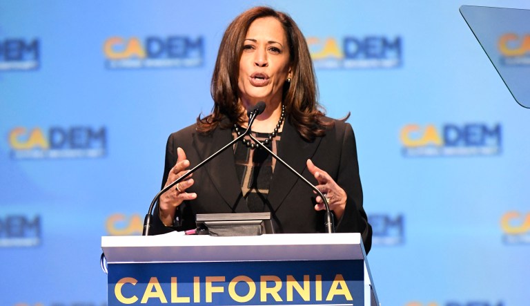 Sen. Kamala Harris' governance is progressive, but her rhetoric is more pragmatic. (AP Photo/Denis Poroy)