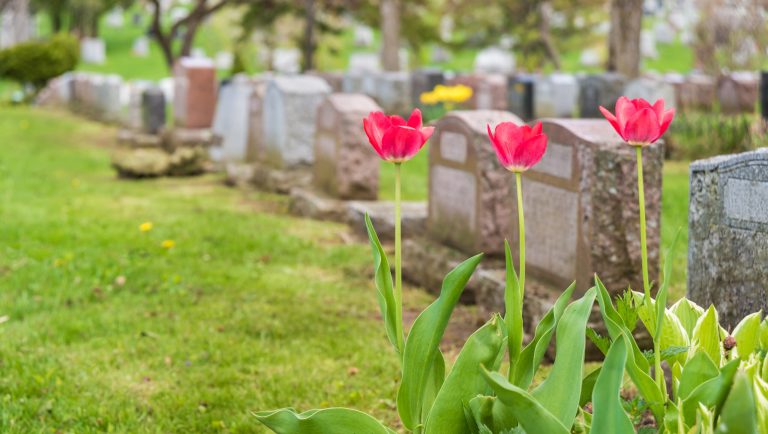 Church says body of atheist can be exhumed after ‘mistaken’ burial 20 years ago