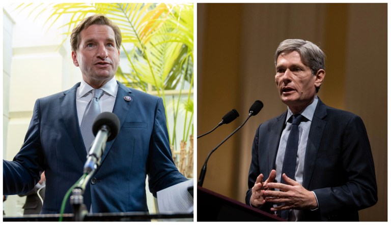 Reps. Dean Phillips (D-MN) and Tom Malinowski (D-NJ) are cutting ads aiming at helping embattled Rep. Liz Cheney (R-WY) fend off stiff primary competition in her reelection bid. 