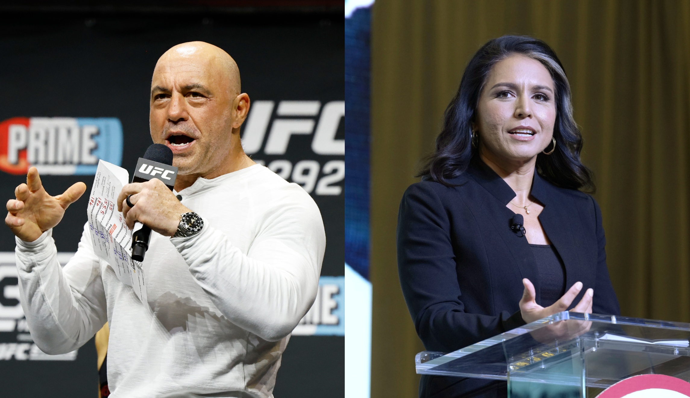 Joe Rogan and Tulsi Gabbard slam Biden administration response to Maui wildfires