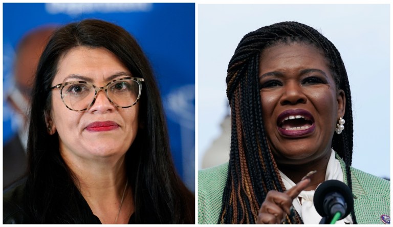 Reps. Rashida Tlaib (D-MI) and Cori Bush (D-MO). Both are part of the 