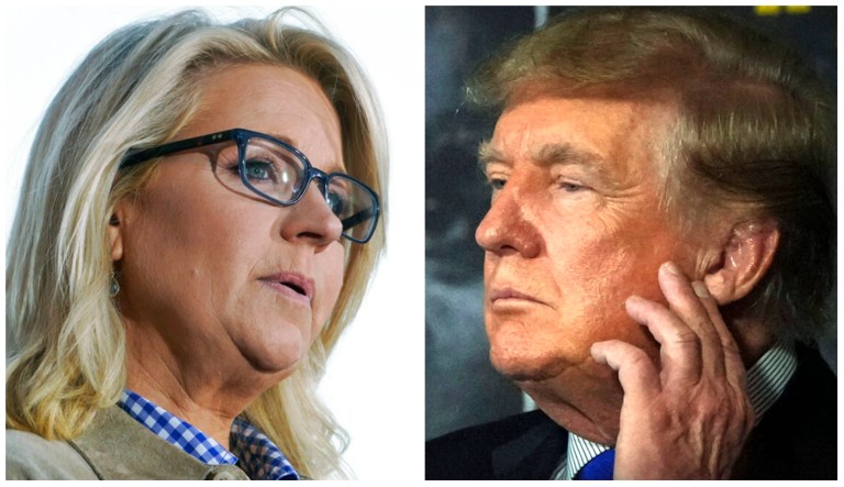 Liz Cheney and Donald Trump.
