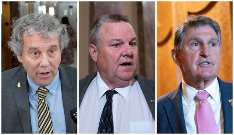 Sens. Sherrod Brown (D-OH), Jon Tester (D-MT), and Joe Manchin (D-WV)