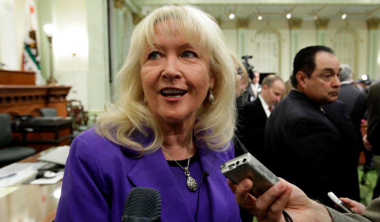 Connie Conway of California to replace Devin Nunes in House for six months