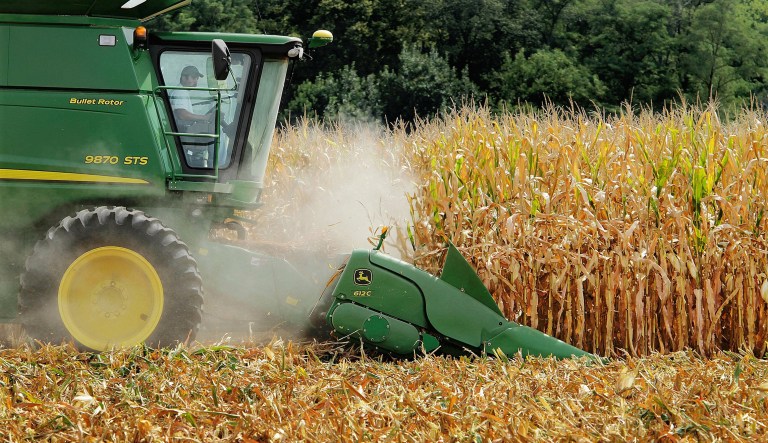 FILE - In this Aug. 30, 2011 file photo, a farmer harvests corn near Farmingdale, Ill. In a trial starting Tuesday, Nov. 3, 2015, jurors in the case between sugar processors and corn manufacturers will take up one of nutritionâs most vexing debates and confront a choice common among some consumers: sugar or high fructose corn syrup?