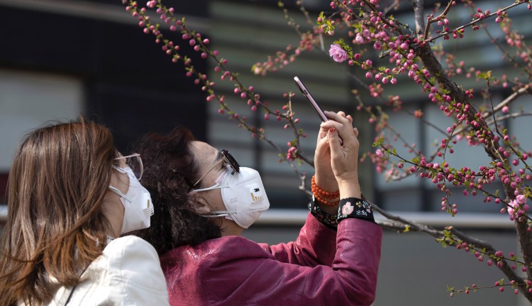 Women wearing protective face masks take photos of flowers blooming in Beijing on Monday, March 23, 2020. Even while social distancing and quarantines for new arrivals remain the norm, China is striving to restore activity in the world's second-largest economy after the shutdown over the coronavirus outbreak.