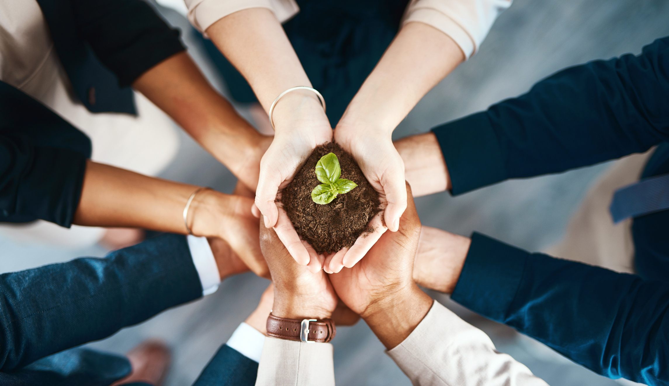 ESG: Another business practice that government should leave alone