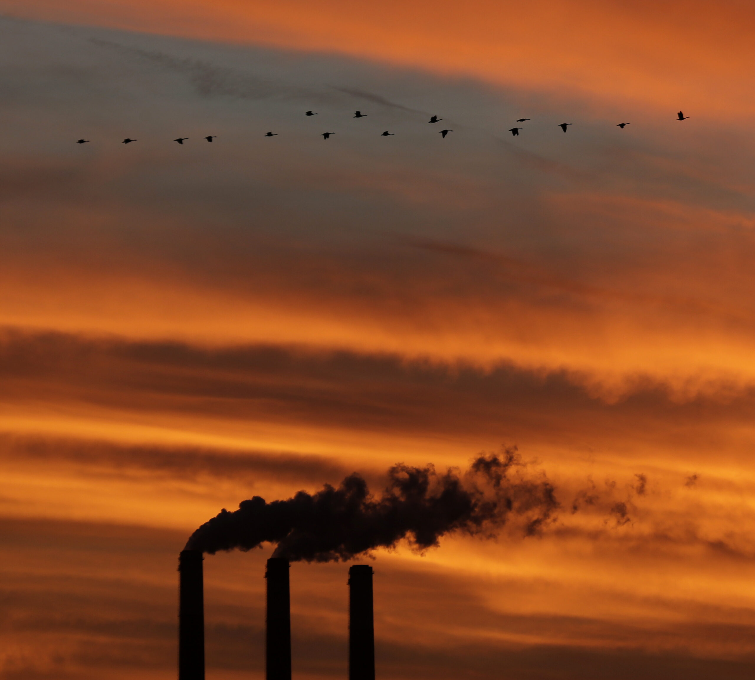 ‘Most transparent administration ever’ keeps carbon tax plans secret