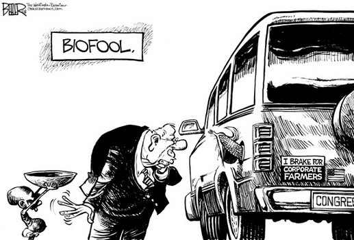 Ethanol: How government is making your food more expensive