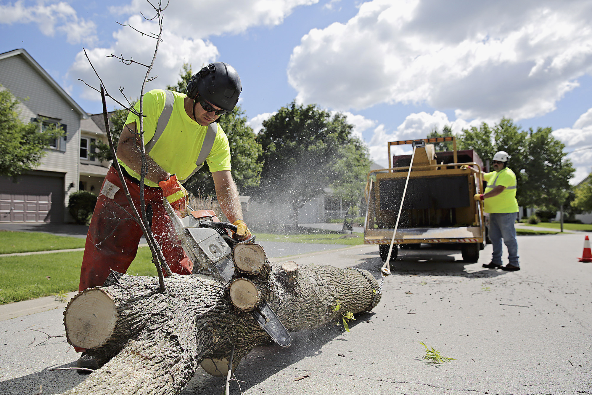 EXCHANGE: Will County replaces infected ash trees