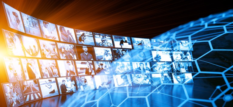 All human beings subconsciously seek out data that sustain their prejudices.