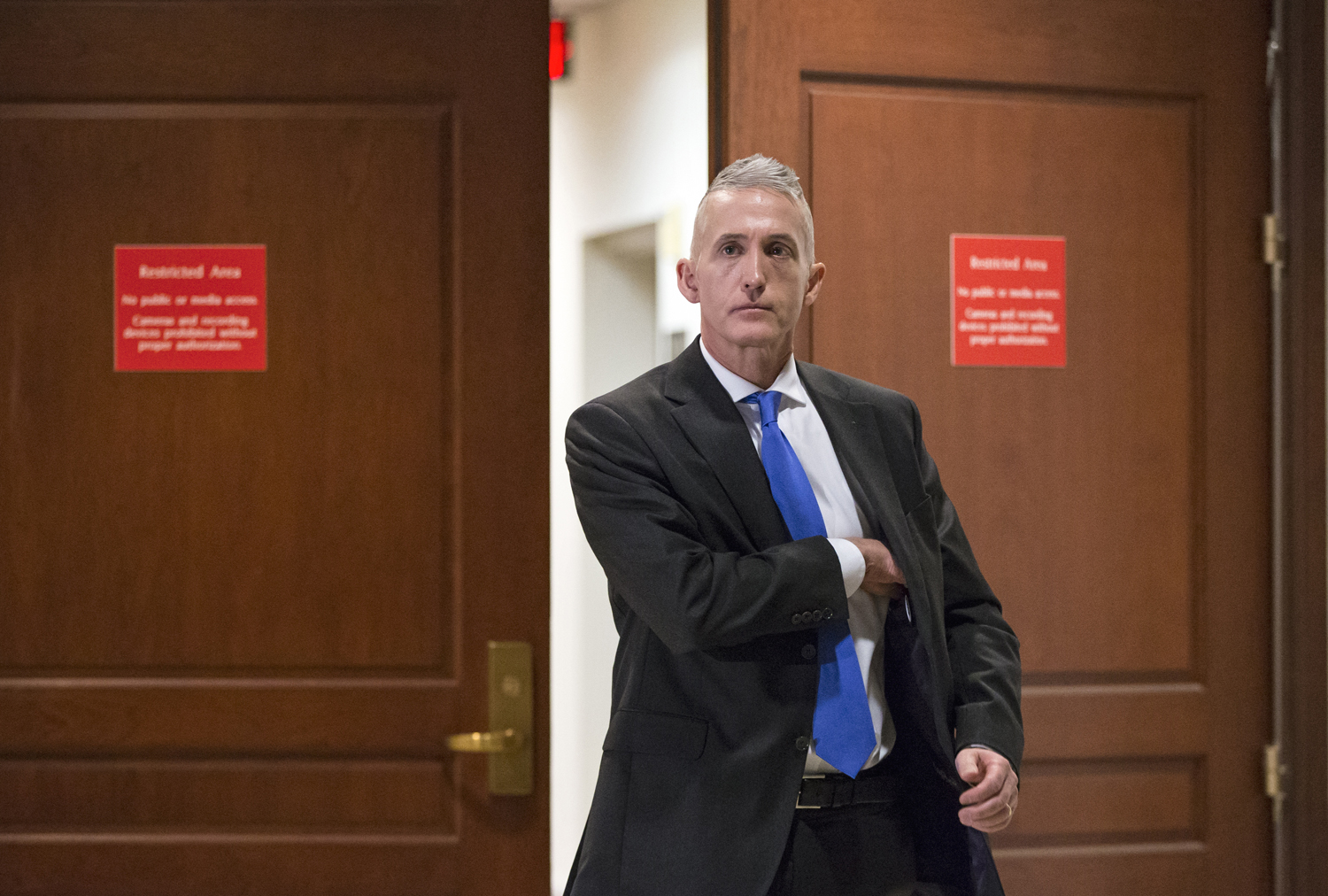 Gowdy: Benghazi findings likely public ‘before summer’