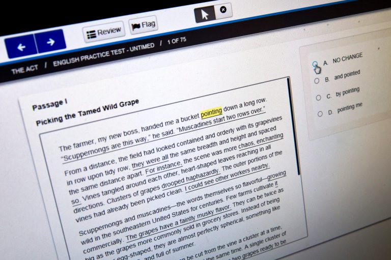 A computer-based practice ACT English test is displayed on a computer monitor Wednesday, May 6, 2015, in Washington. (AP Photo/Jacquelyn Martin)