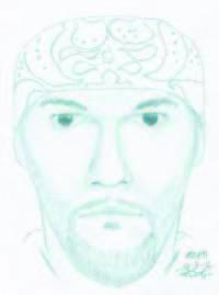 Suspect sketch