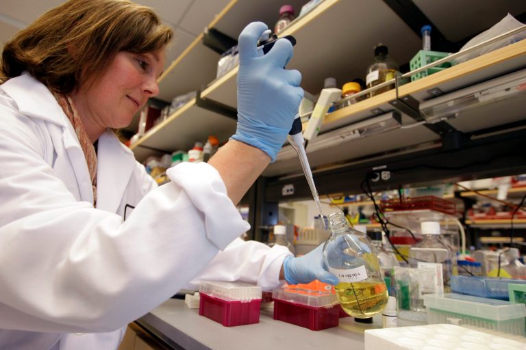   FILE - This March 16, 2012 file photo shows researcher Terry Storm working in a stem cell research lab at the Lorry I. Lokey Stem Cell Research Building on the Stanford University campus in Palo Alto, Calif. A report by the Institute of Medicine released Thursday Dec. 6, 2012 said Californiaâs stem cell agency has done a good job of supporting research but said improvements are needed. (AP Photo/Paul Sakuma, file)  