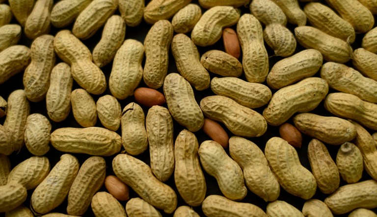 The federal Peanut Standards Board was created in 2002 to advise the federal government on peanut standards. South Carolina is one of the top peanut-producing states in the nation, but was never given a seat on the board. (AP Photo/Patrick Sison, File)