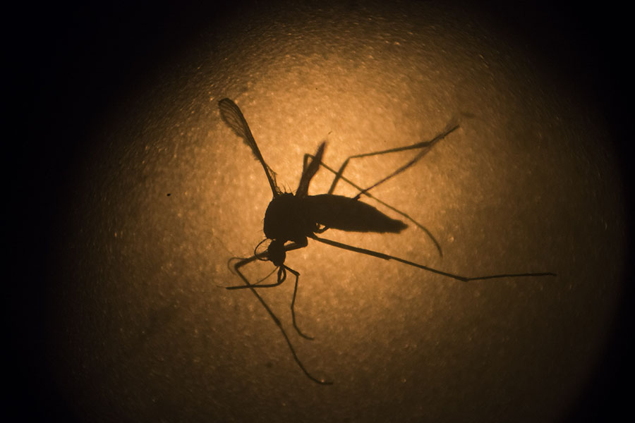 Carson, Christie support quarantine for suspected Zika patients