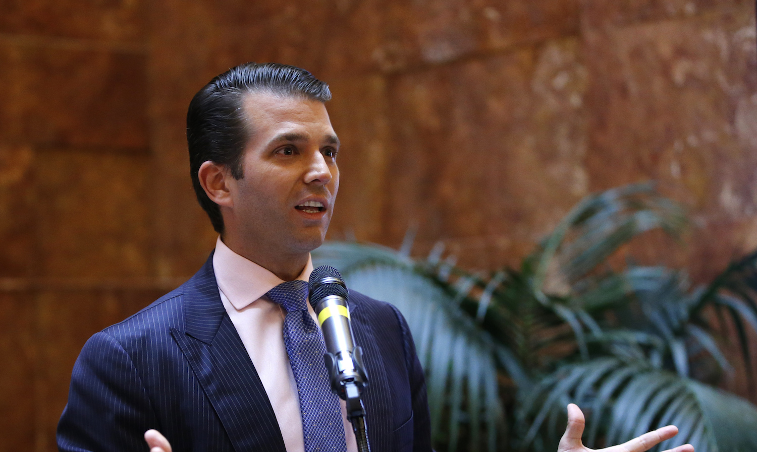 Why did Donald Trump Jr. dox himself?