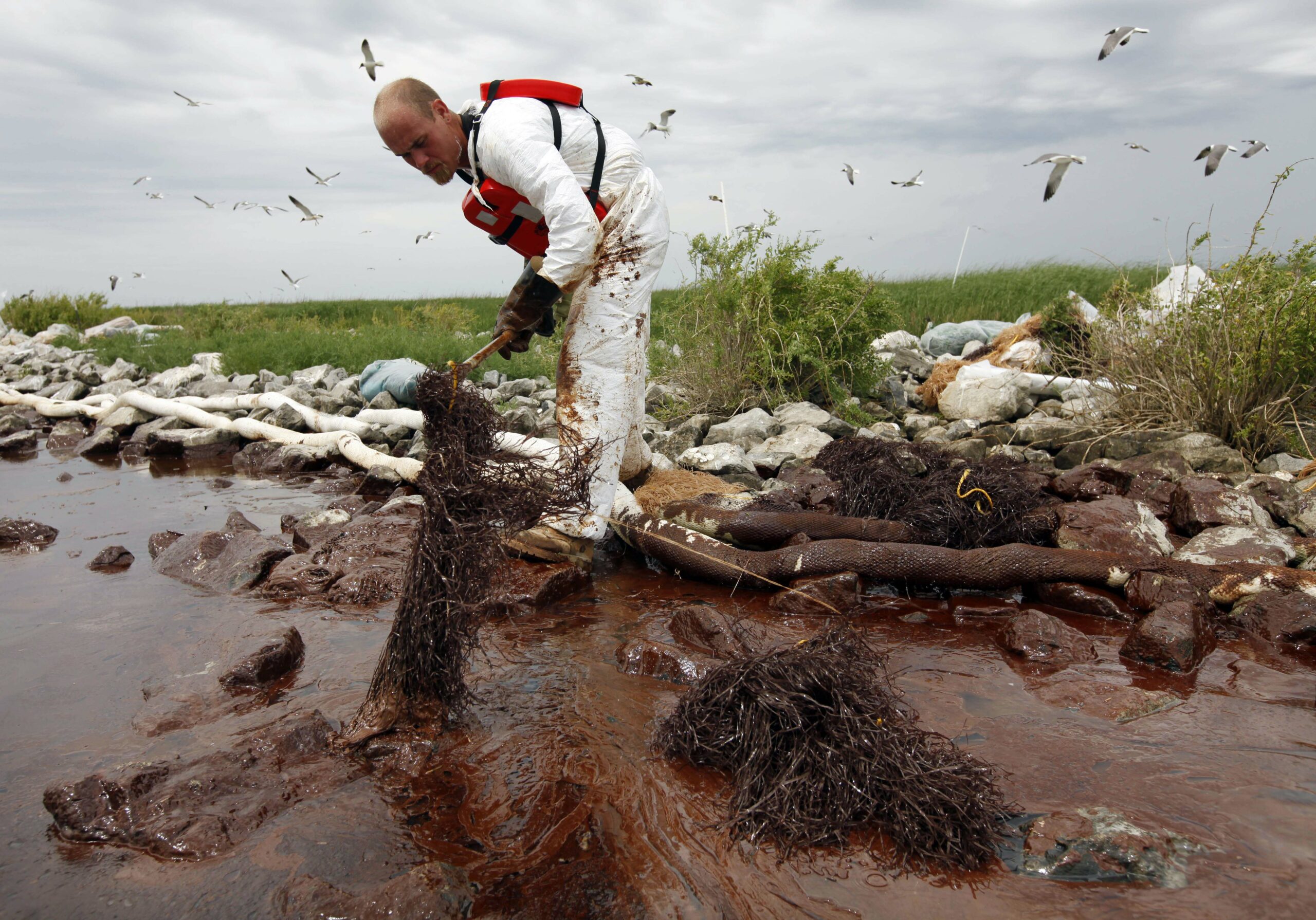BP spars with states, feds over Gulf of Mexico health