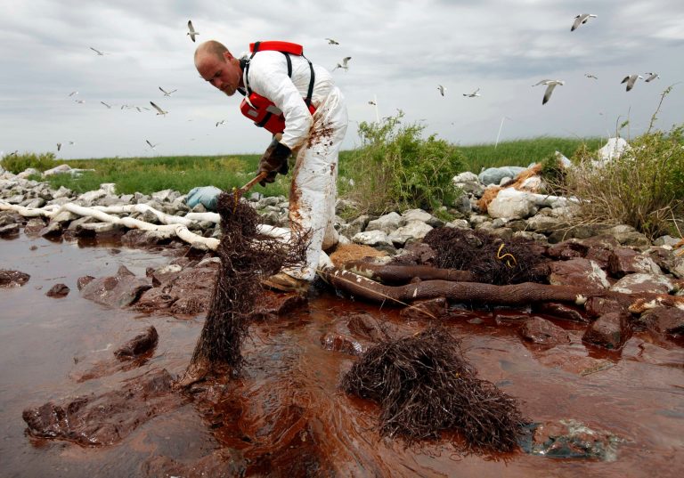 In this June 4, 2010 file photo, a worker picks up blobs of oil with absorbent snare on Queen Bess Island at the mouth of Barataria Bay near the Gulf of Mexico in Plaquemines Parish, La. (AP Photo/Gerald Herbert, File)