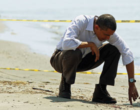 Arrogance in the Executive