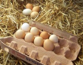 Words Matter, Gordon Brown!