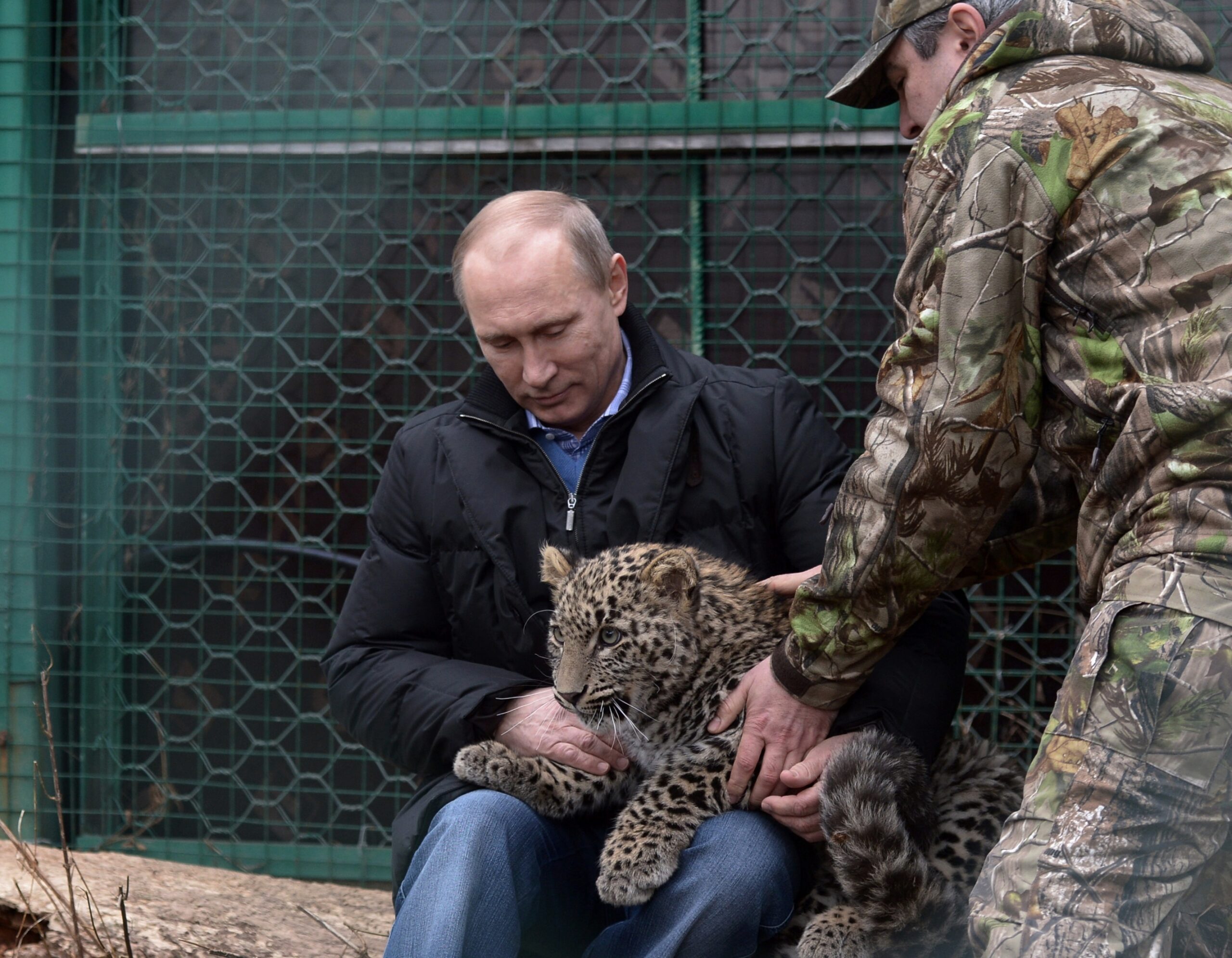 Putin strokes leopard, wins IOC support