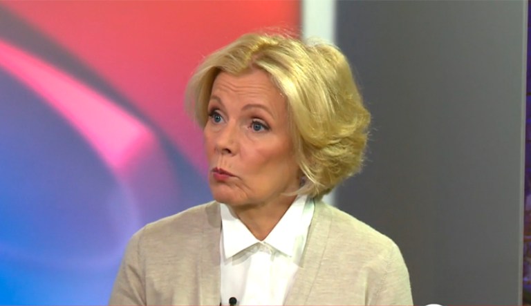 Peggy Noonan said the implosion of the Democratic Party has gone unnoticed as President Trump struggles to gain footing through the early days of his administration.