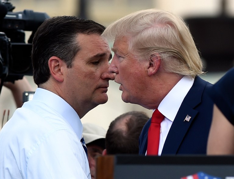 Neither Ted Cruz nor Greg Abbott chose to dismiss Donald Trump's plan as incompatible with the Constitution when asked. (AP Photo)