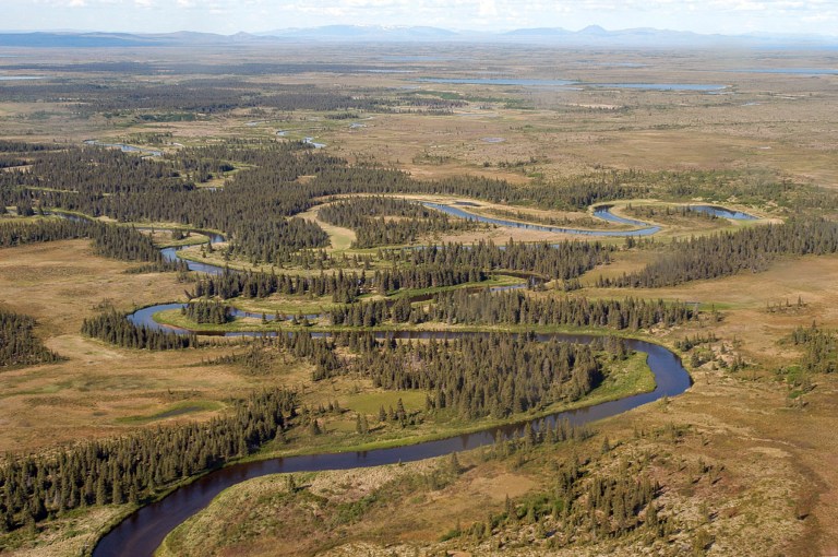 A 2003 photo provided by the Bureau of Land Management shows a stream flowing through the Bristol Bay, Alaska watershed. (AP Photo/Bureau of Land Management)