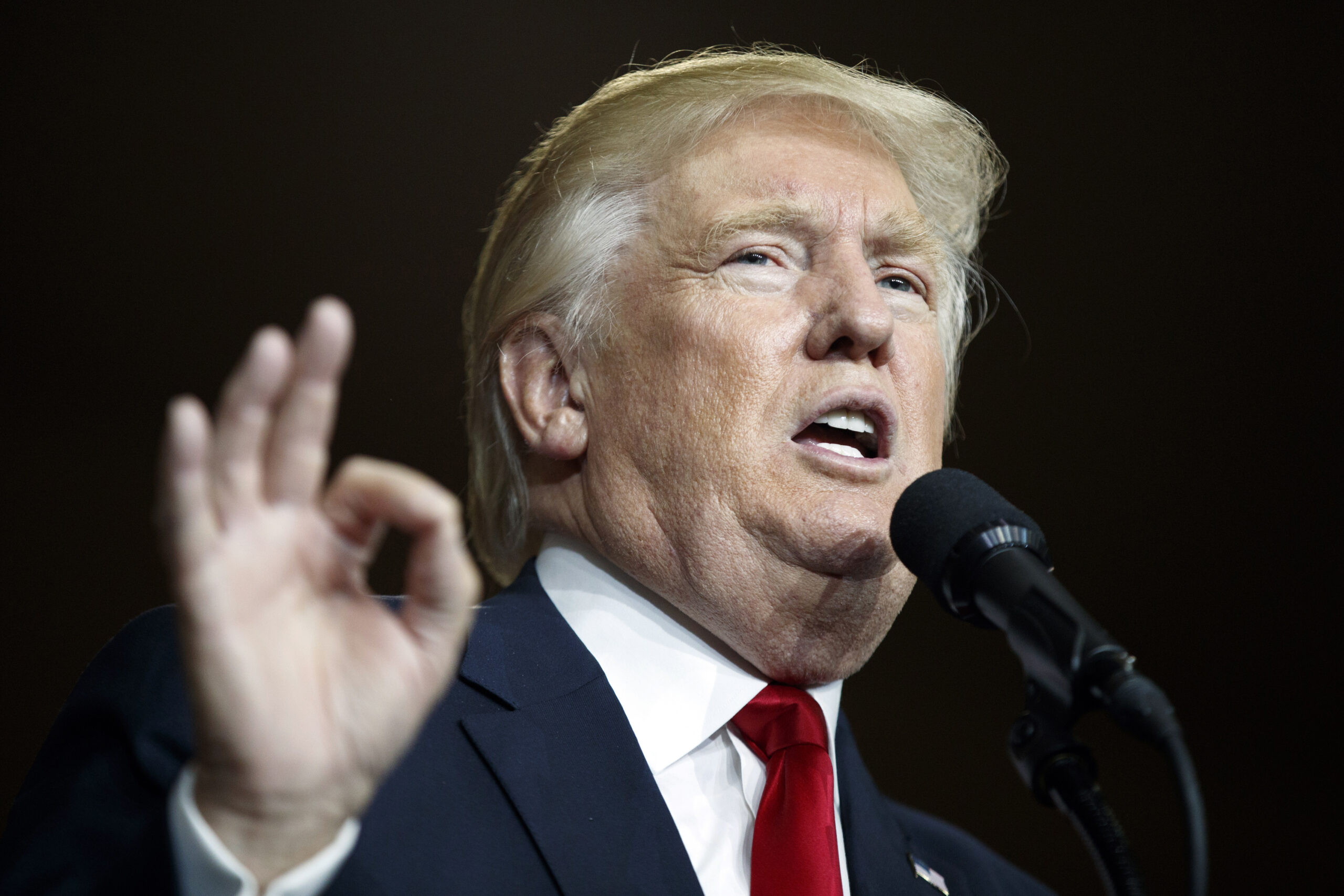 Trump: Snakes and toads won’t block border wall