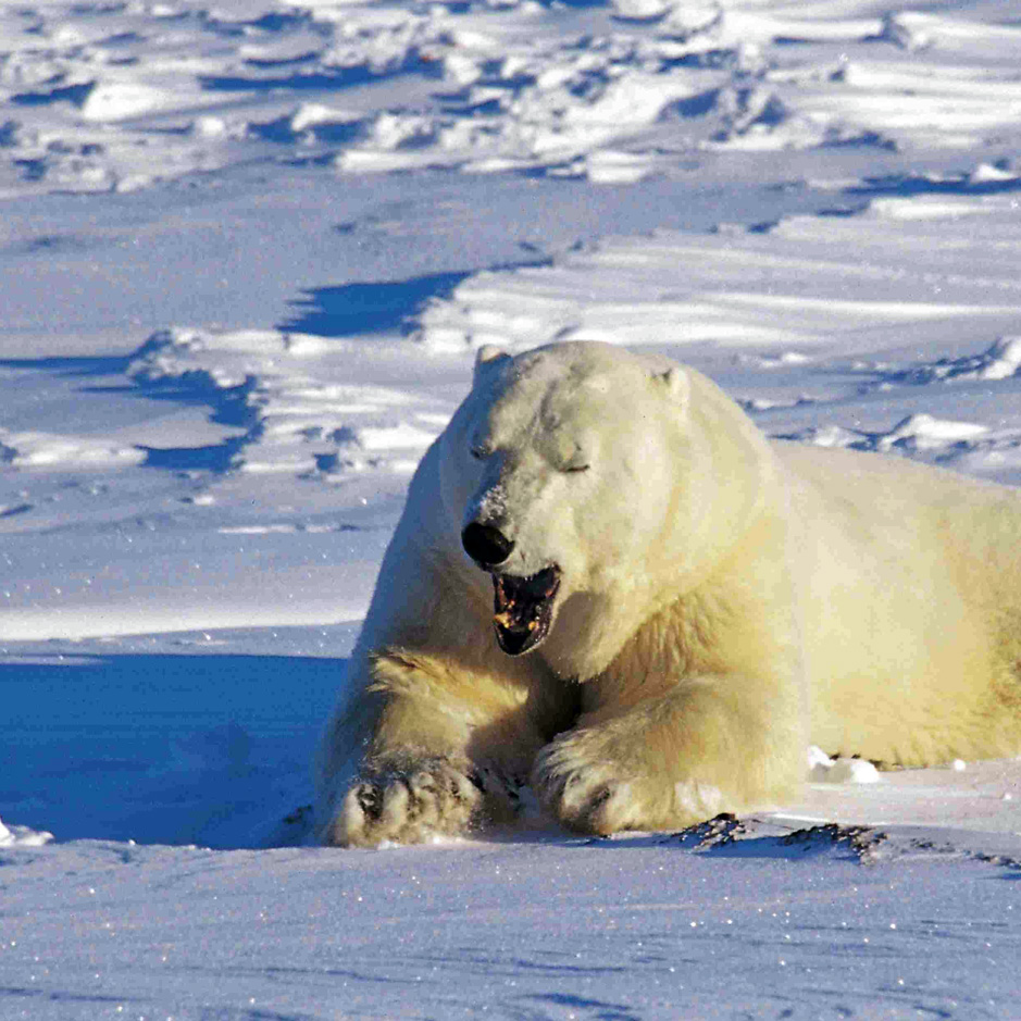 Climate Change for the GOP