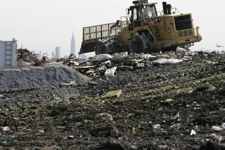 Report: Banana peels, leaves can cure global warming