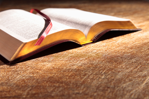 Bible publisher’s victory is reason for thanks