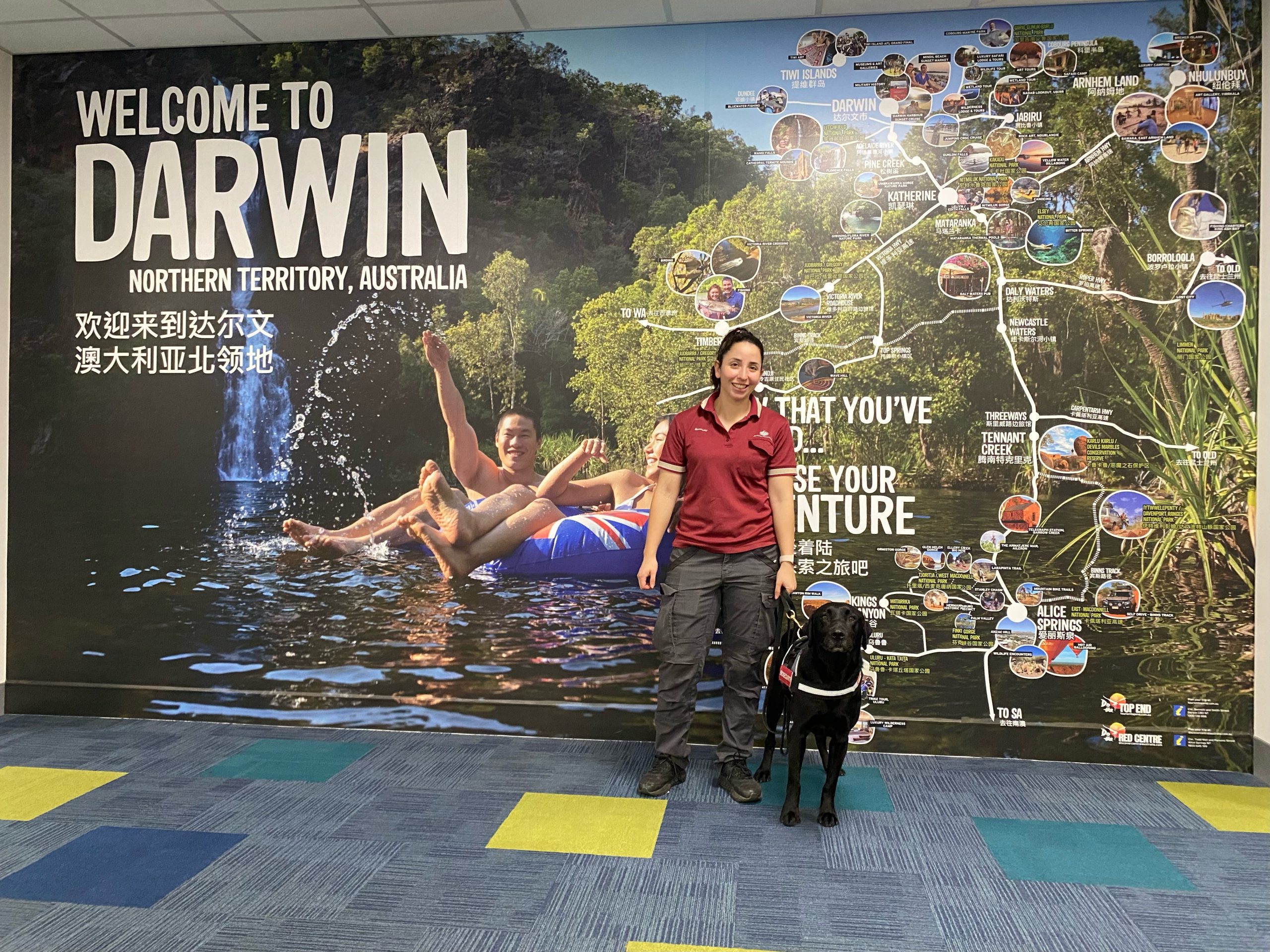 Detector Dog Zinta in Darwin with handler at Darwin airport.jpeg