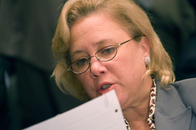 Sen. Mary Landrieu, D-La., referred to the federal government as a large business during a Senate Small Business and Entrepreneurship Committee hearing. (AP Photo/Harry Hamburg)