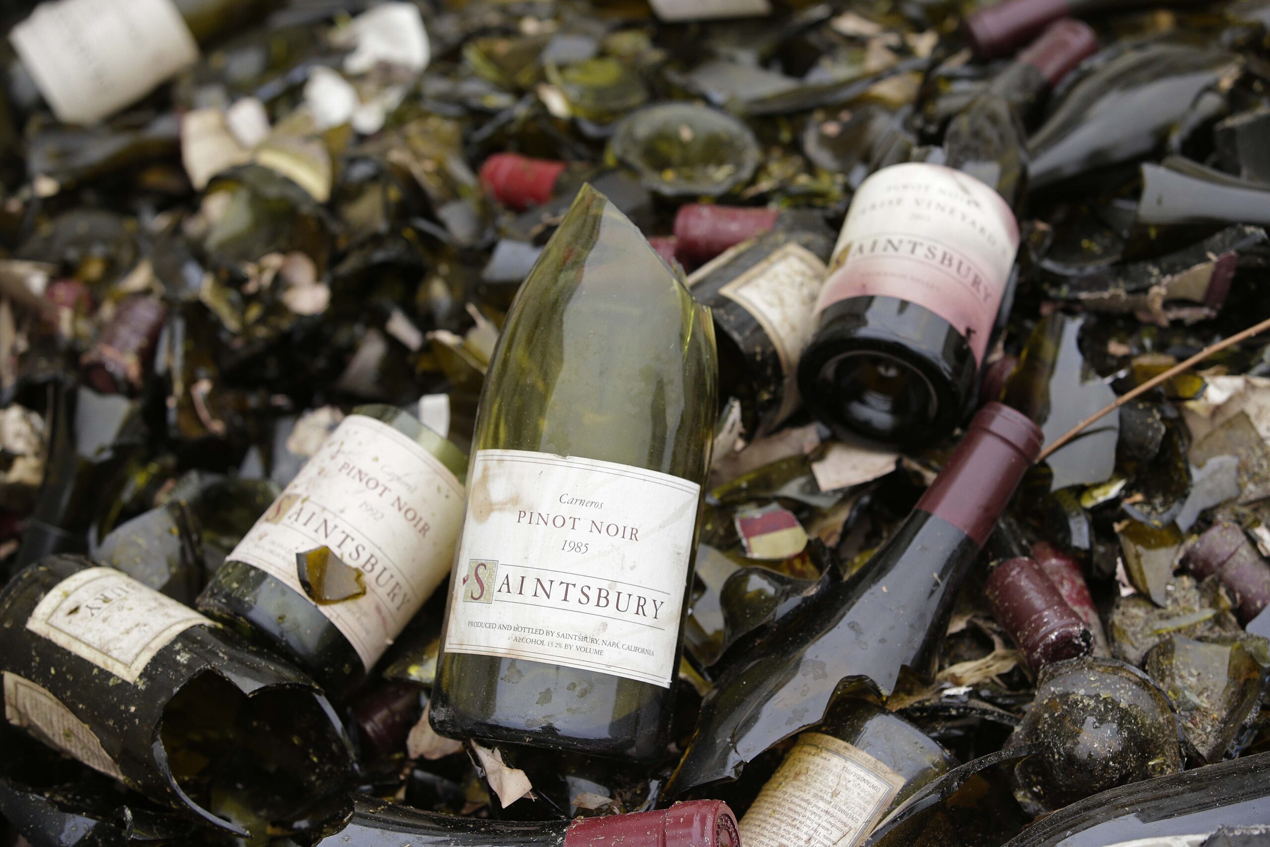 Quake jolts, doesn’t stop 2014 Napa harvest