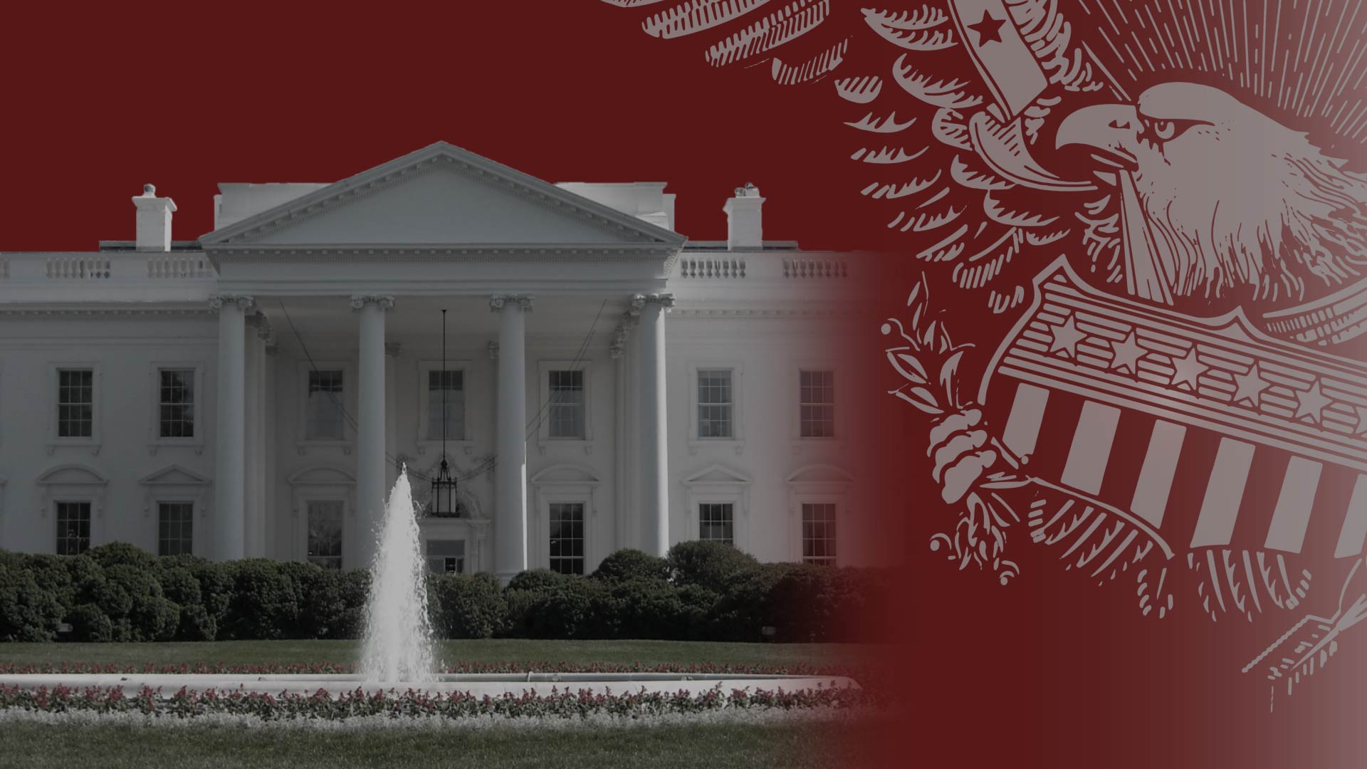 Daily Headlines: February 20, 2020