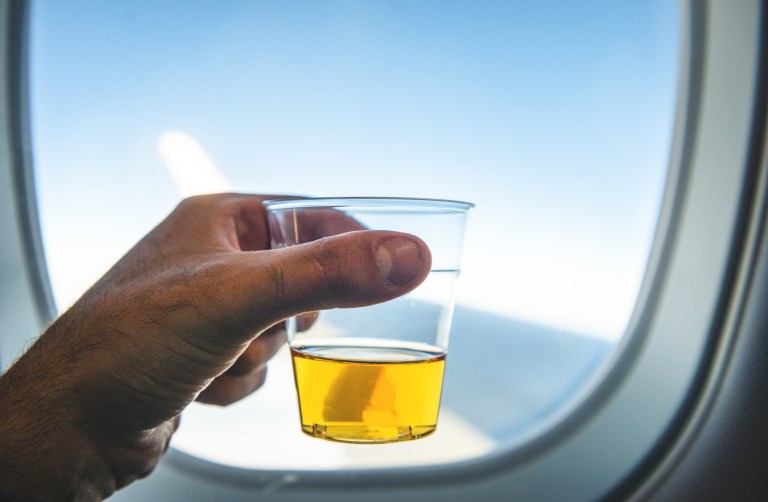 American Airlines passenger faces up to 20 years in prison for altercation on plane over beer
