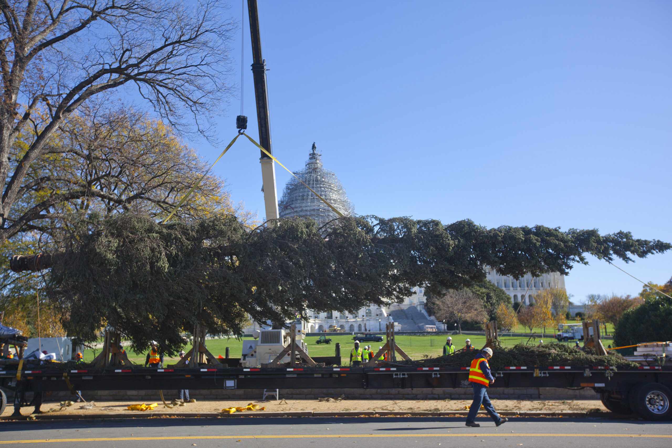 Speaker Ryan to light up the Capitol Christmas Tree Dec. 2