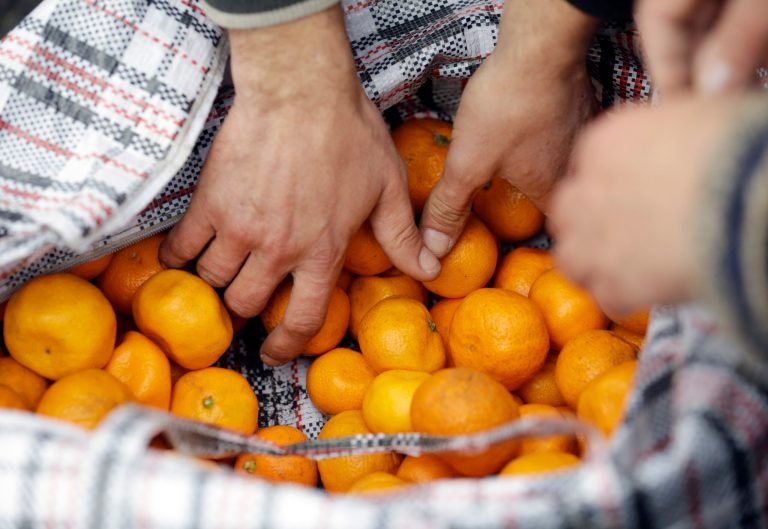 People buys some of Mukhmunad Ashabokova's tangerines off of her cart at the Abkhazian border Wednesday, Feb. 5, 2014, near Sochi, Russia. Most days in the tangerine season, she rolls her squat cart loaded down with the fruit across the bridge over Psou River from her garden about two miles inside Abkhazia. (AP Photo/Morry Gash)